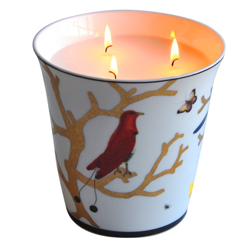 Tab - Bernardaud - Aux Oiseaux Tumbler Candle - Main
