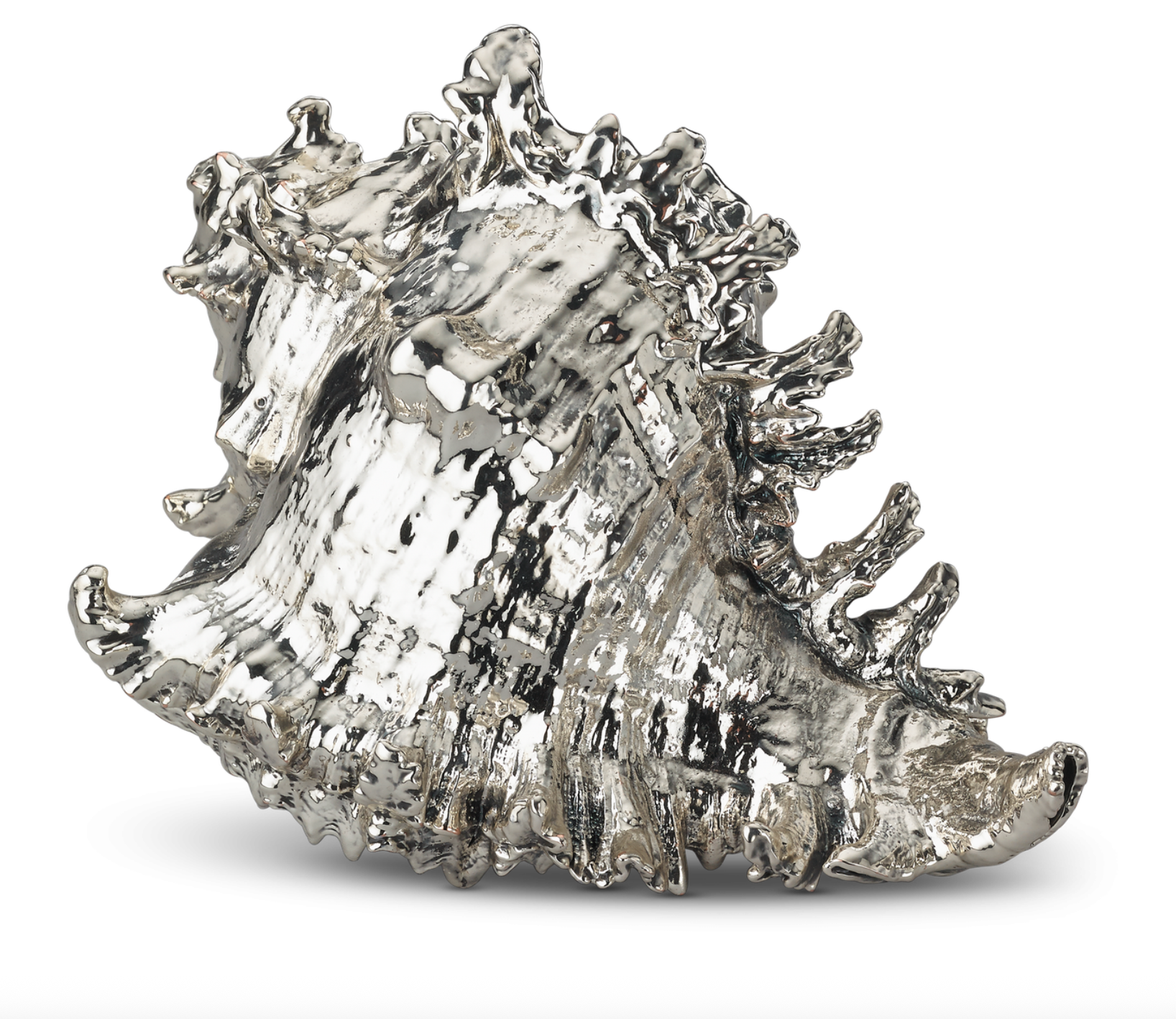 Tab - Buccellati - Murex Ramosus Shell