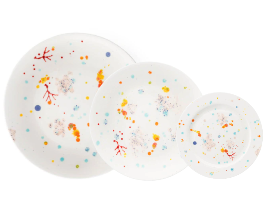 Tab - Coralla Maiuri - Seabed white