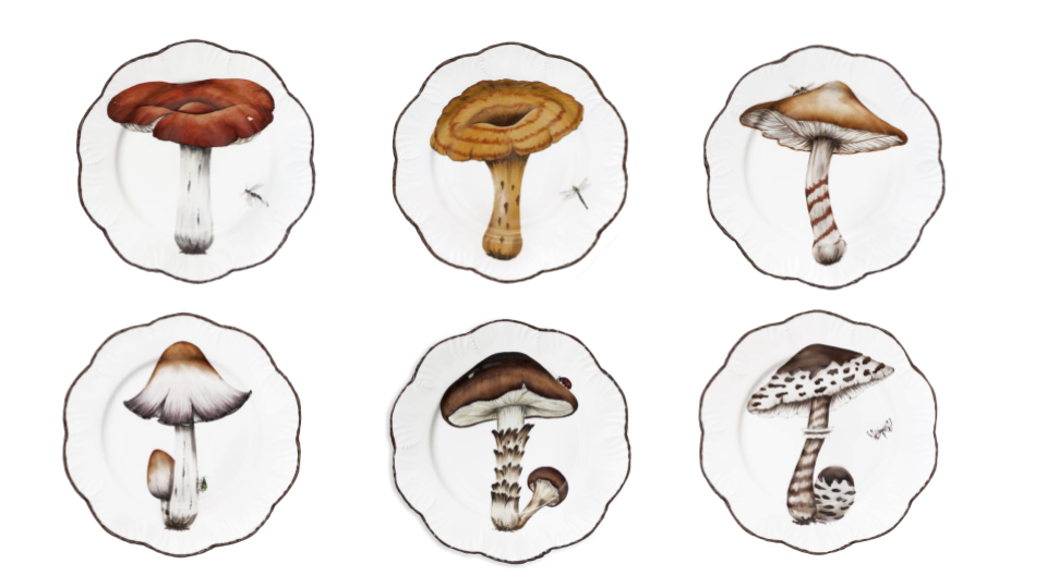 Tab - Alberto Pinto - Champignons - Main