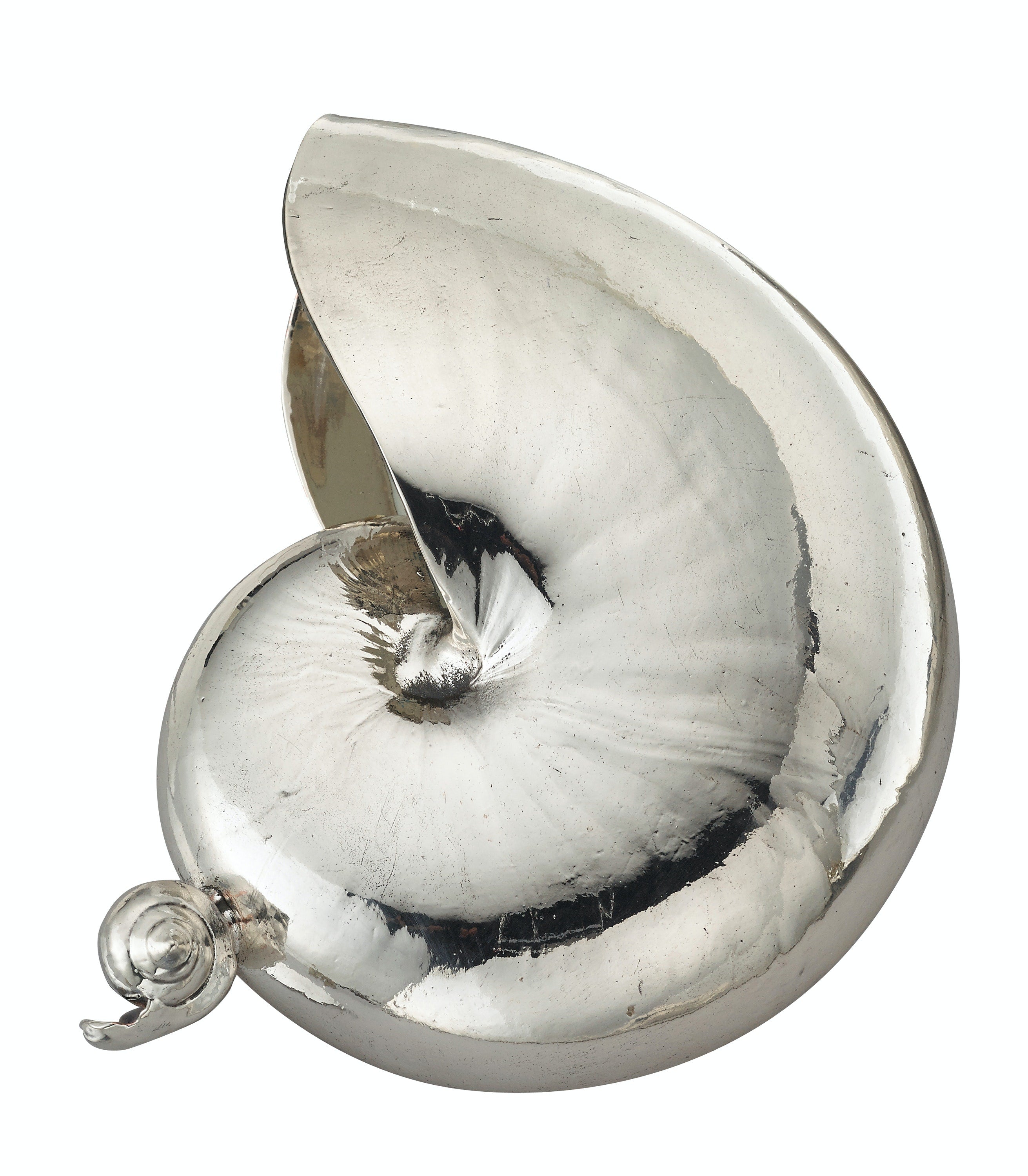 Tab - Buccellati - Nautilus Shells - Main