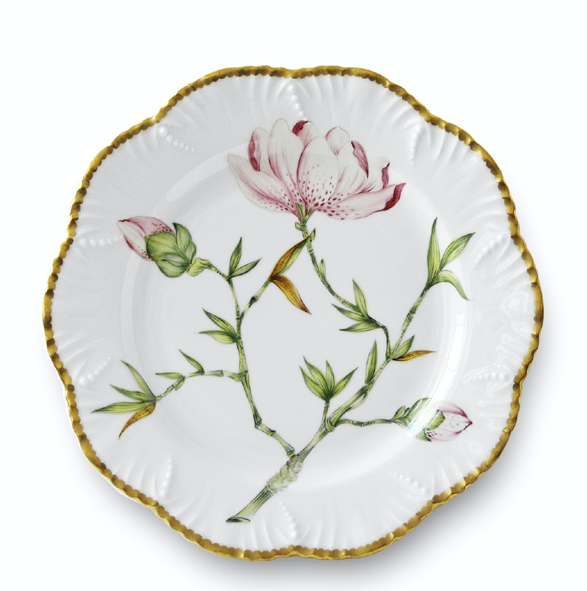 Tab - Alberto Pinto - Magnolia - Main