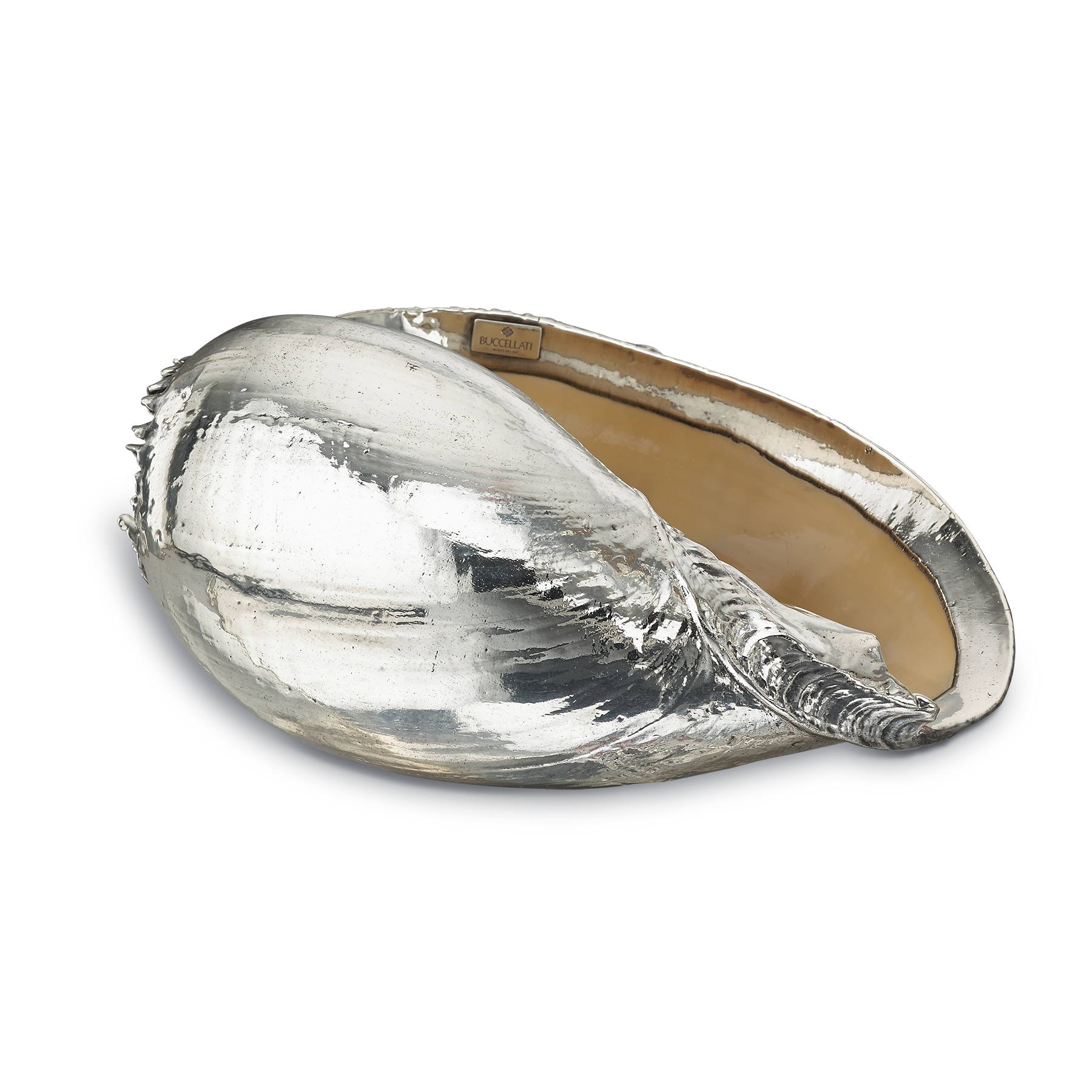 Tab - Buccellati - Melo Diadema Shells - Main